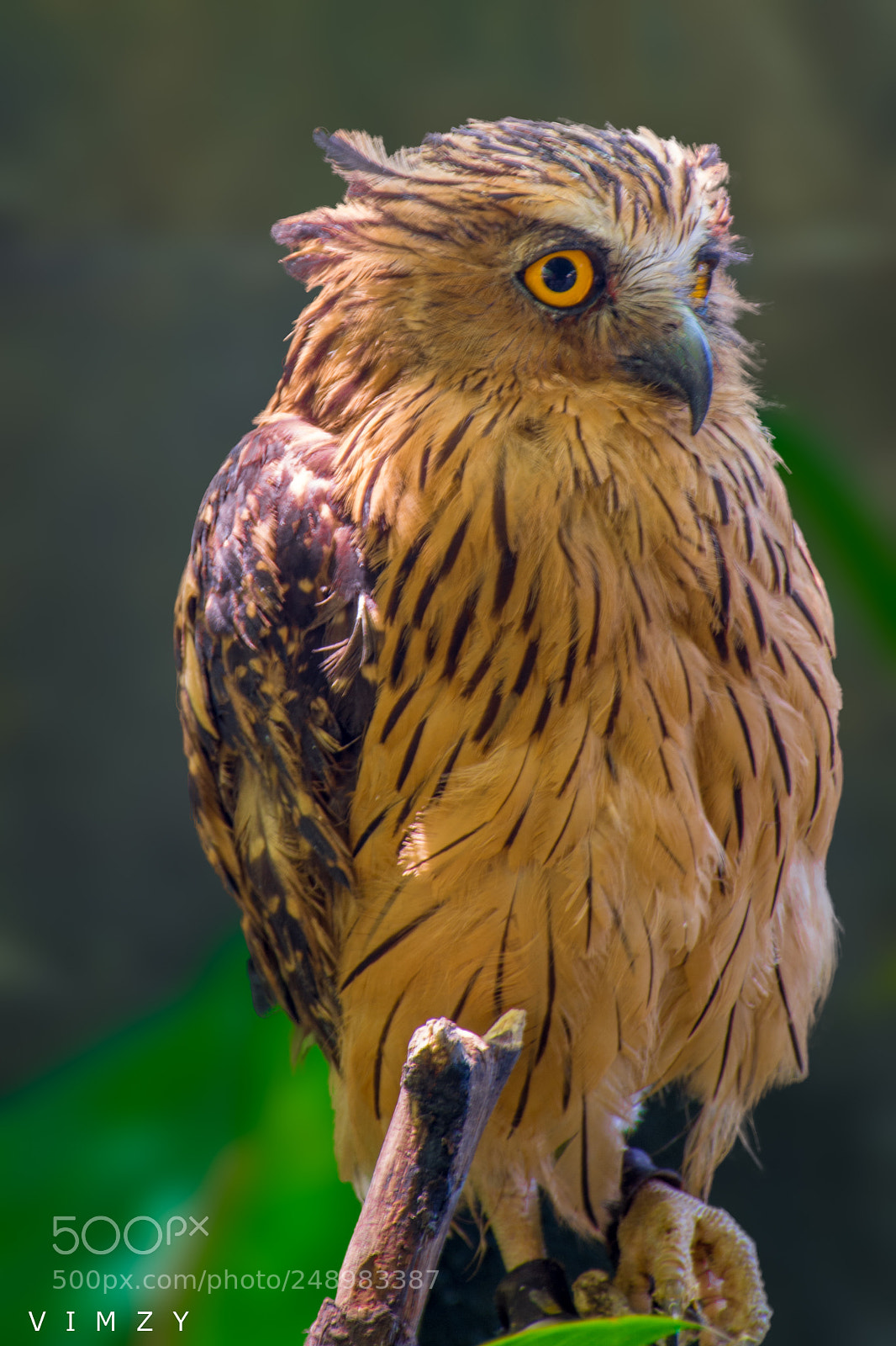 Nikon D7200 sample photo. High in attitude photography