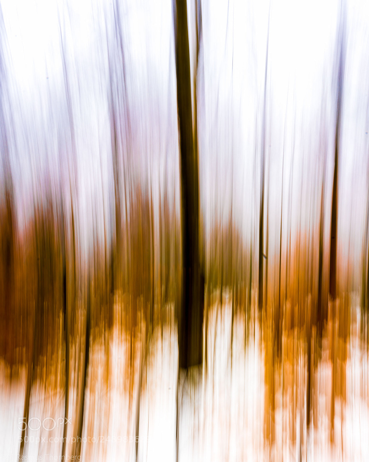 Sony a7R II sample photo. Vinter abstract photography