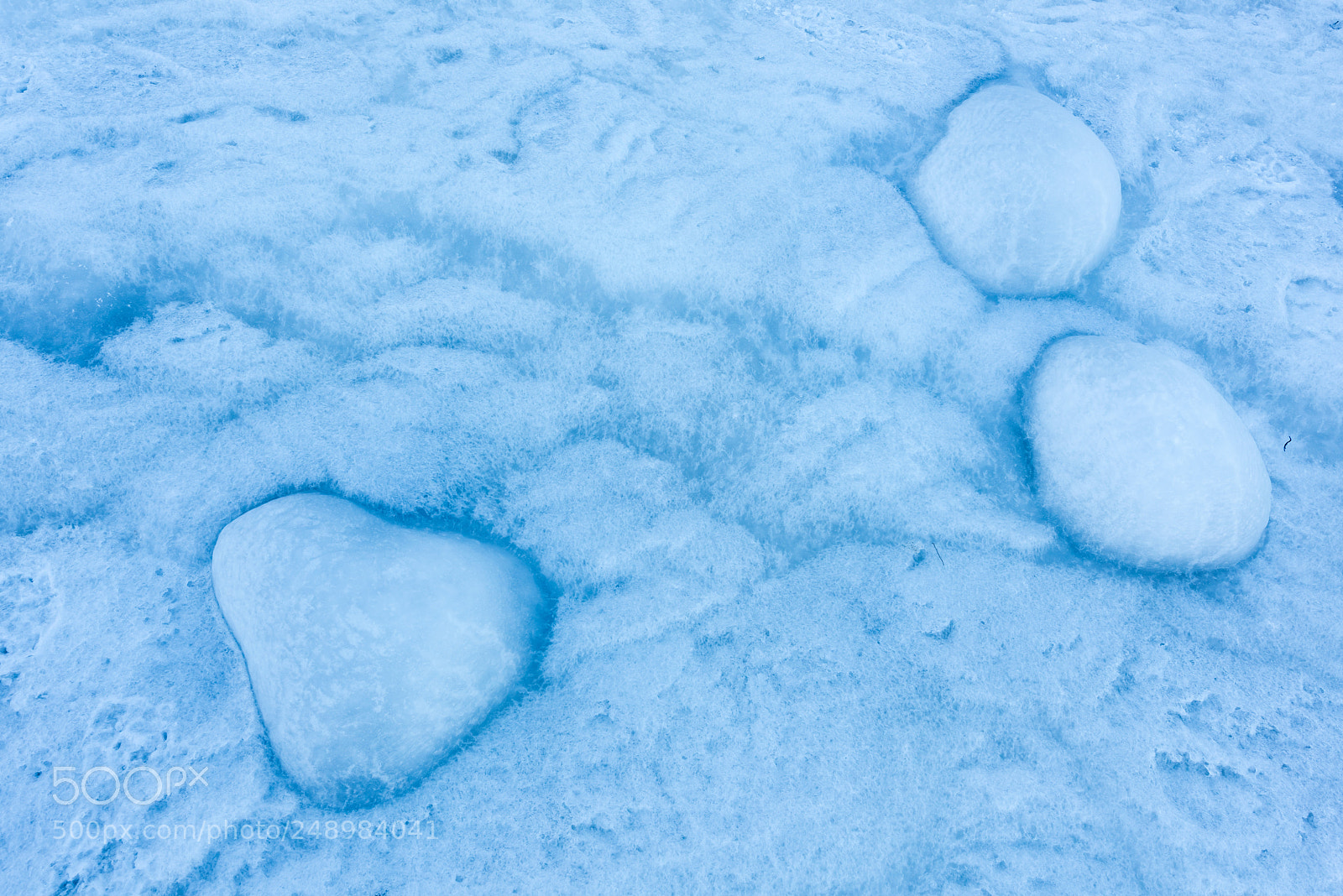 Nikon D810 sample photo. Nordic blues (1) snow drops photography