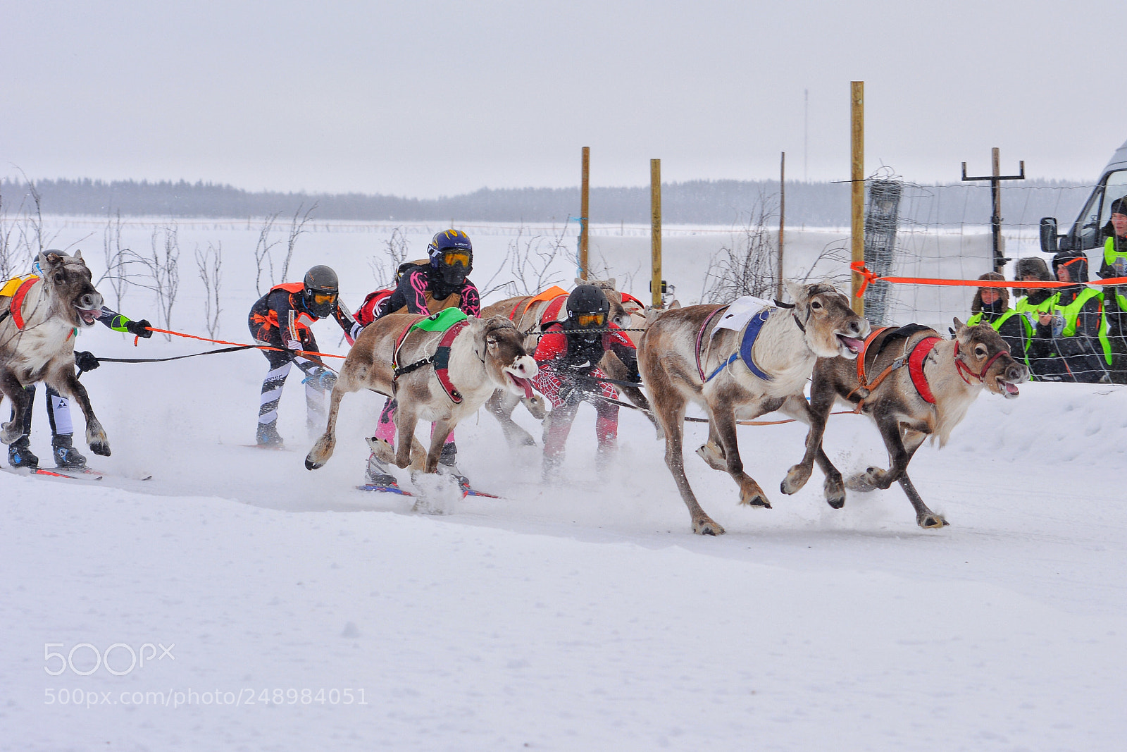 Nikon D5200 sample photo. Stay on the skis photography