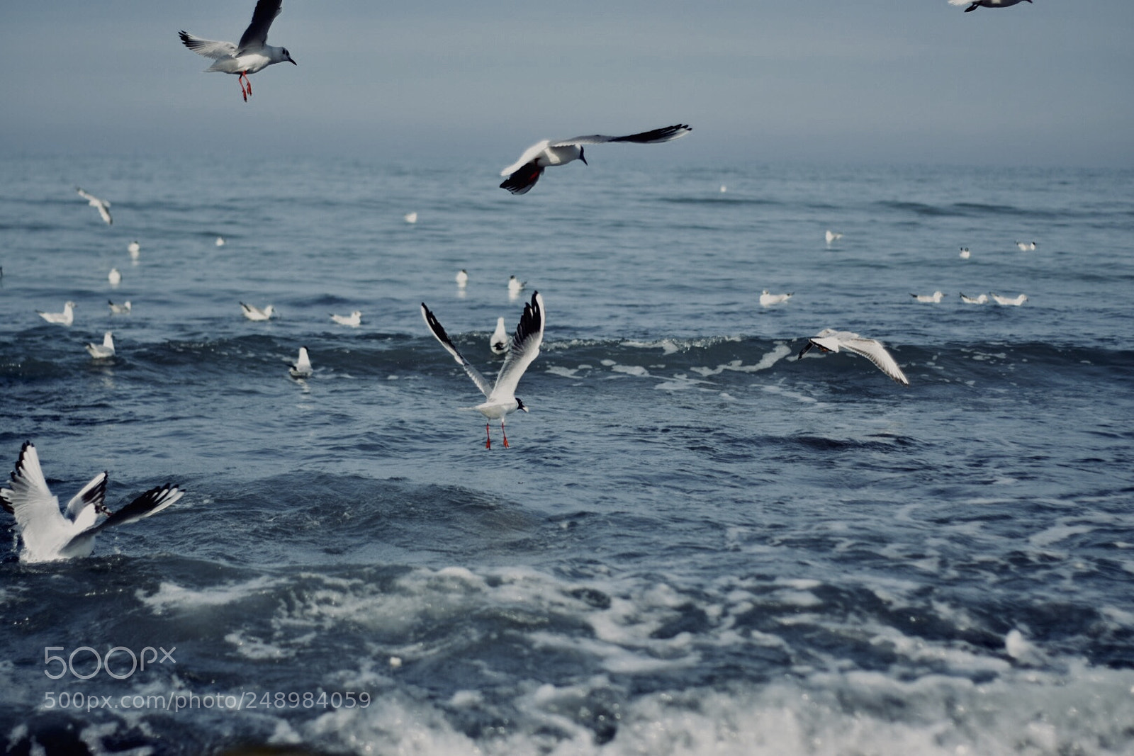 Nikon D5300 sample photo. Untitled photography