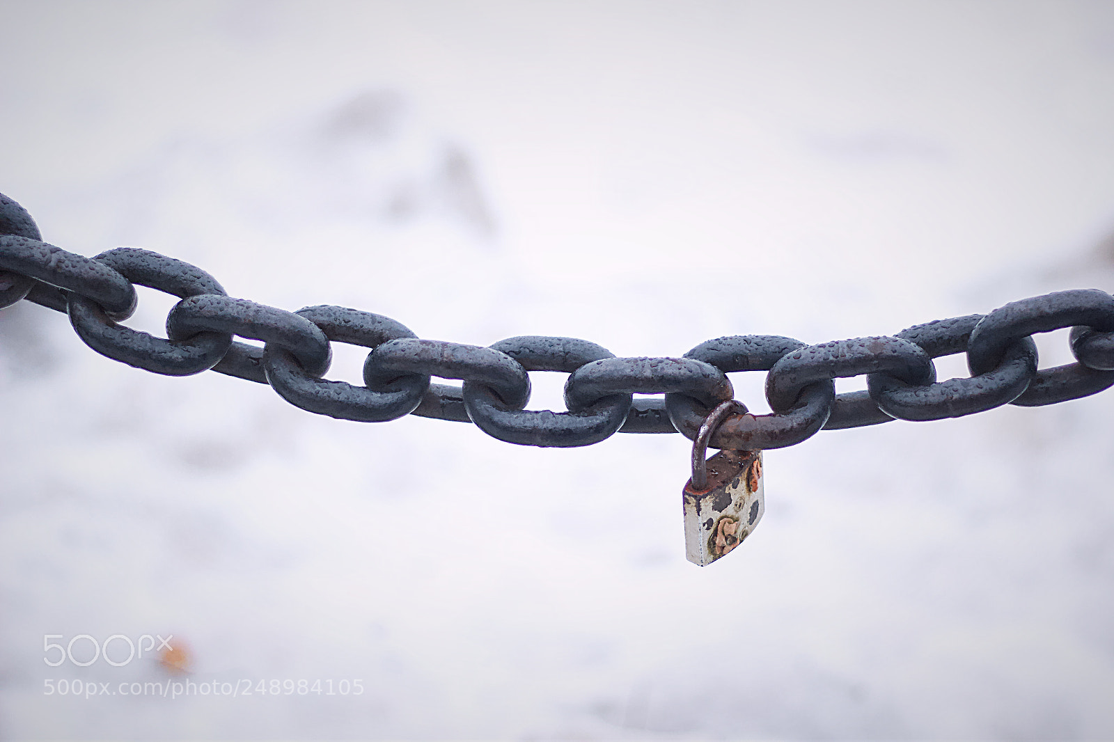 Canon EOS 60D sample photo. Declaration of love photography