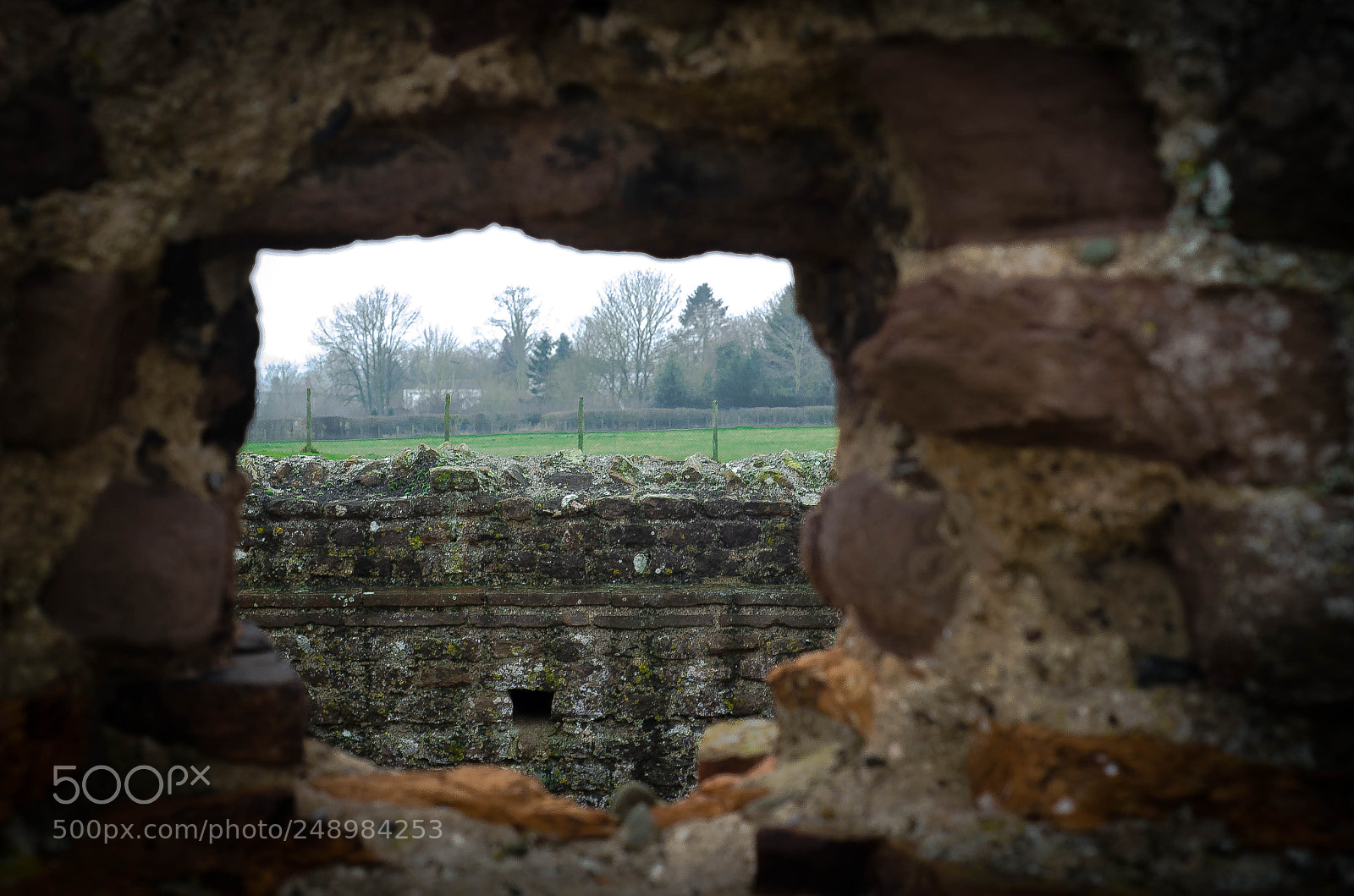 Nikon D7000 sample photo. Wroxeter roman ruins photography