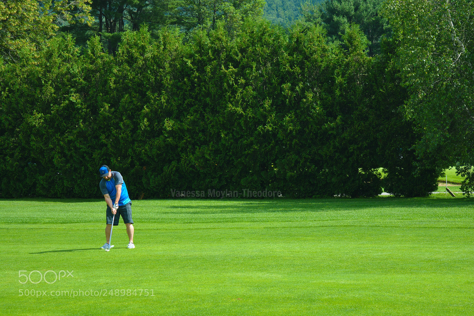 Nikon D5200 sample photo. Golfer photography