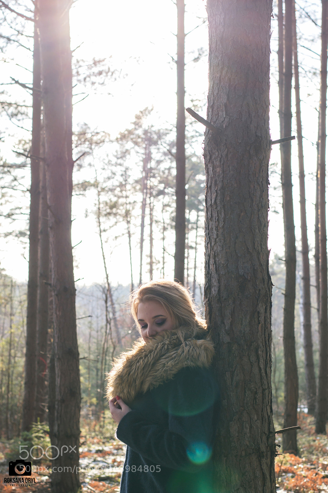 Nikon D3100 sample photo. Untitled photography
