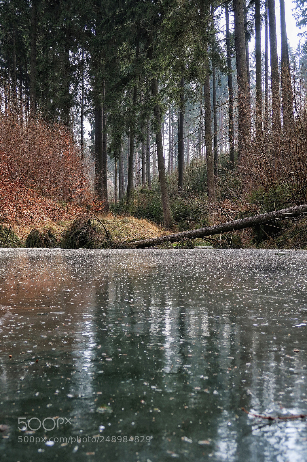 Canon PowerShot G7 X Mark II sample photo. Untitled photography