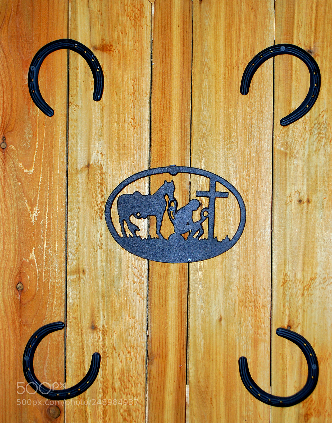 Nikon D60 sample photo. Country western scene. photography