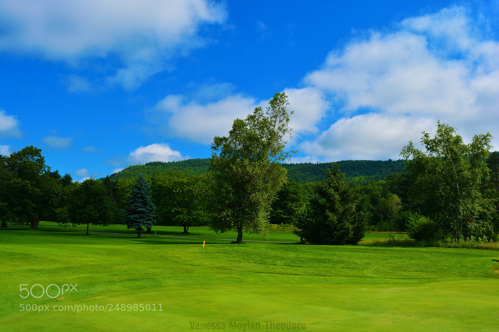 Nikon D5200 sample photo. Cronin's golf resort photography