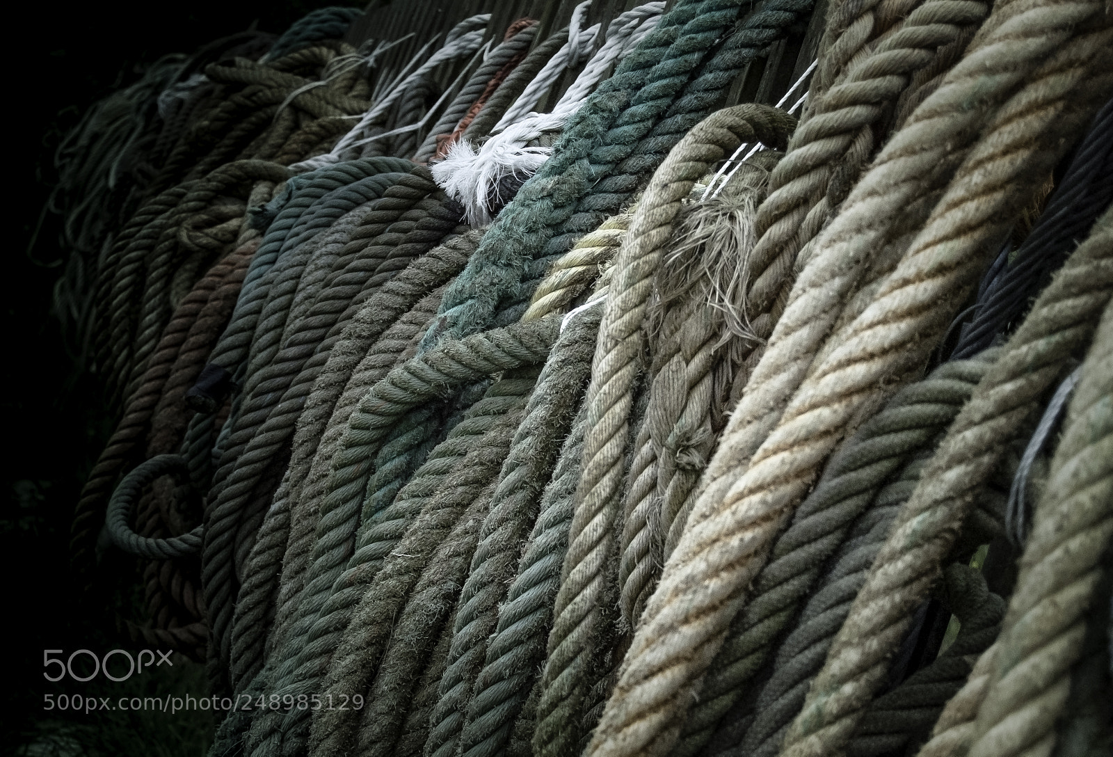 Nikon D5000 sample photo. Abstract photography