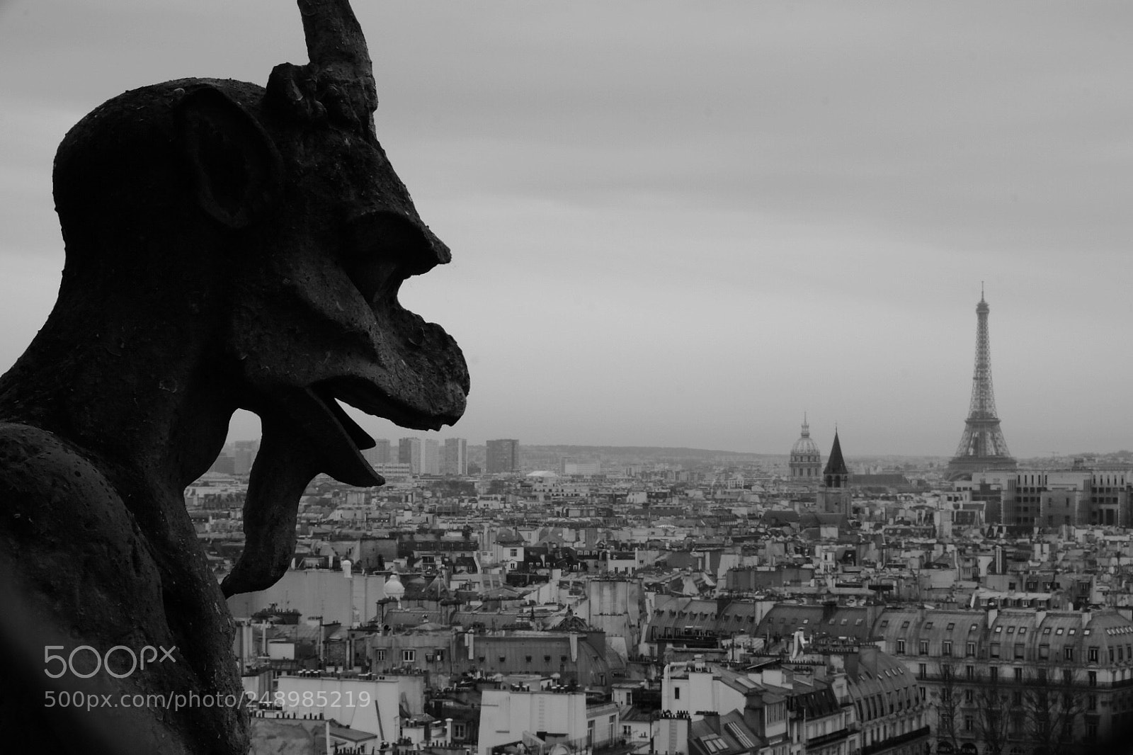 Fujifilm X-T10 sample photo. Notre dame roof top photography