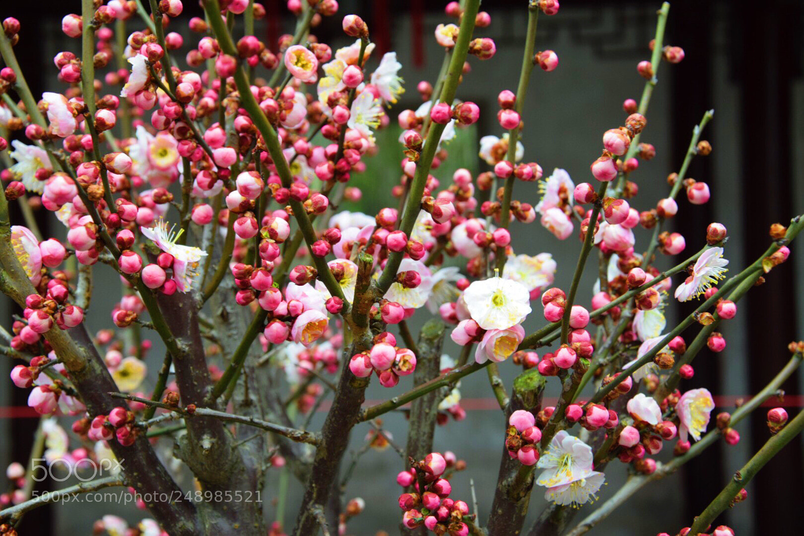 Nikon D5300 sample photo. Untitled photography