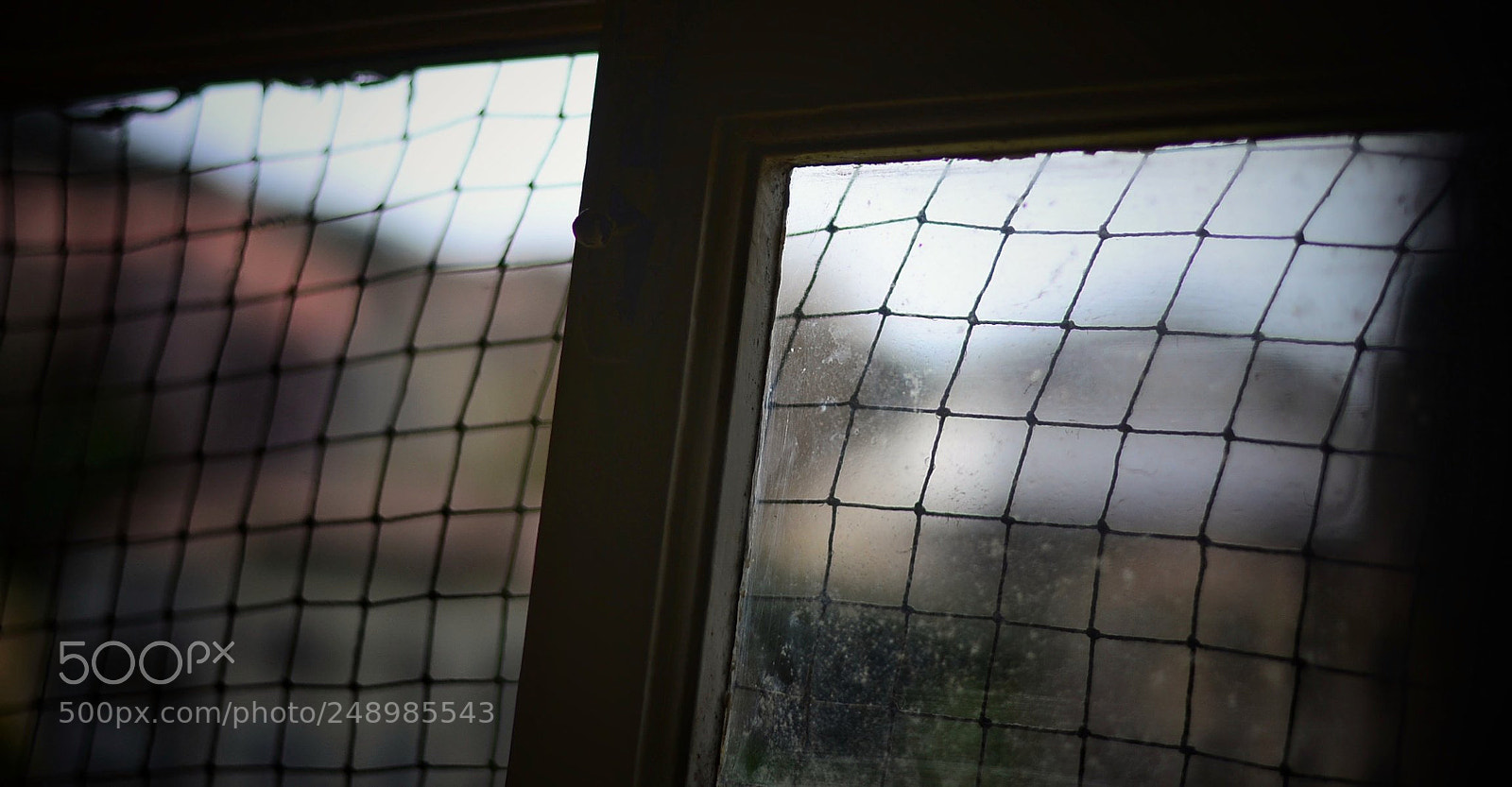 Nikon D3100 sample photo. 2018-03-11_07-40-12 photography