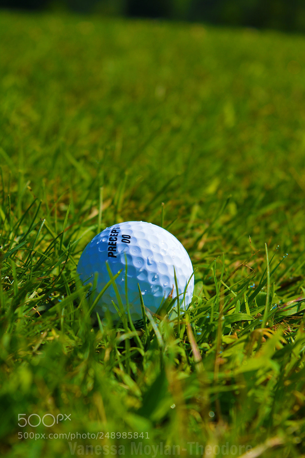 Nikon D5200 sample photo. Cronin's golf resort photography
