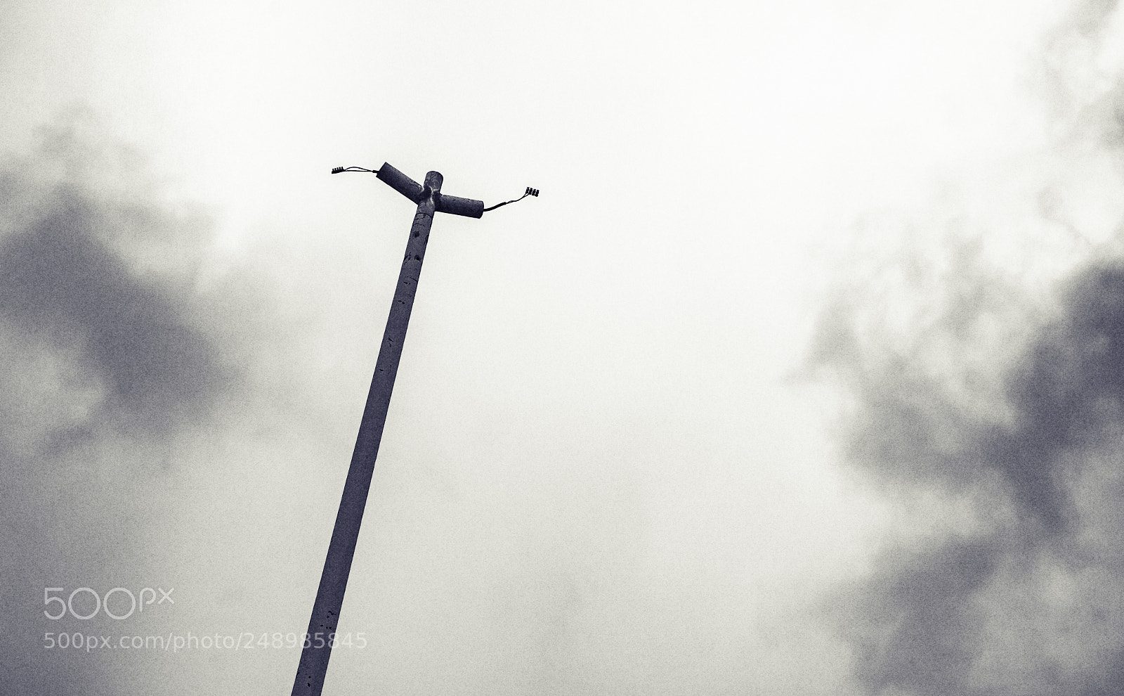 Pentax K-50 sample photo. In-motion photography
