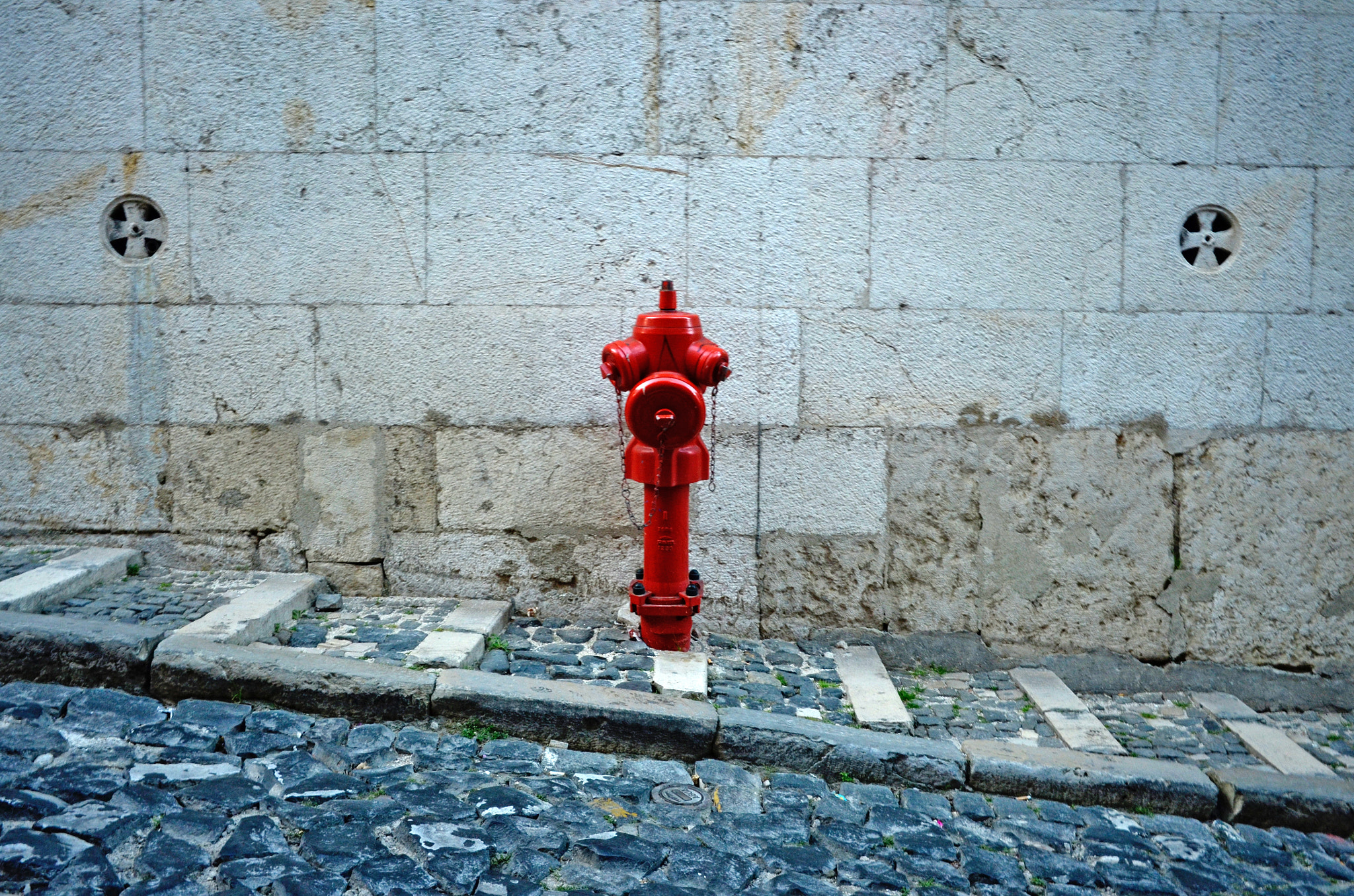 Nikon Coolpix A sample photo. Fire hydrant photography
