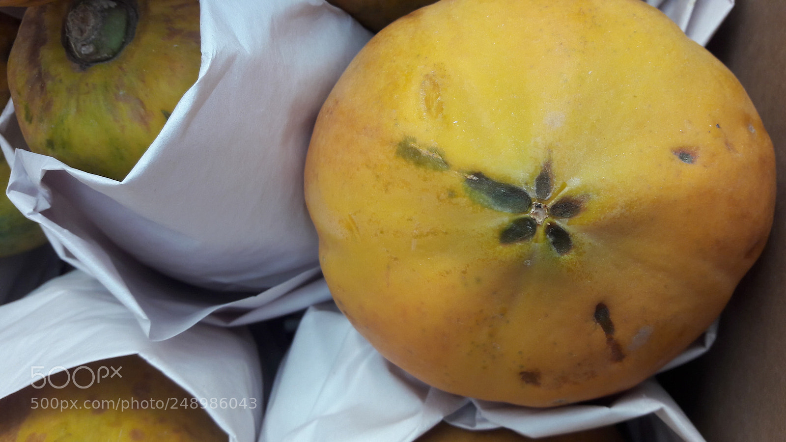 Samsung Galaxy J7 sample photo. Papayas photography