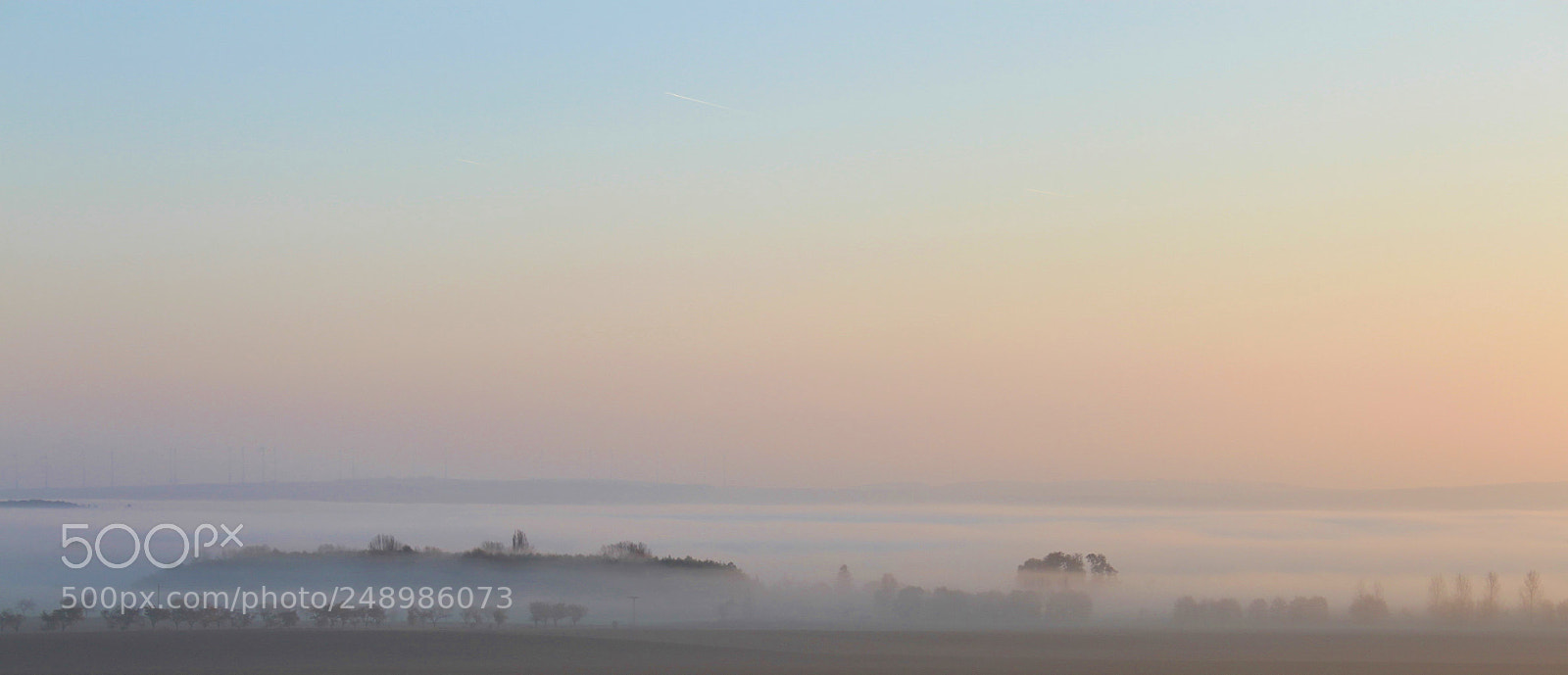 Canon EOS 500D (EOS Rebel T1i / EOS Kiss X3) sample photo. In the morning photography