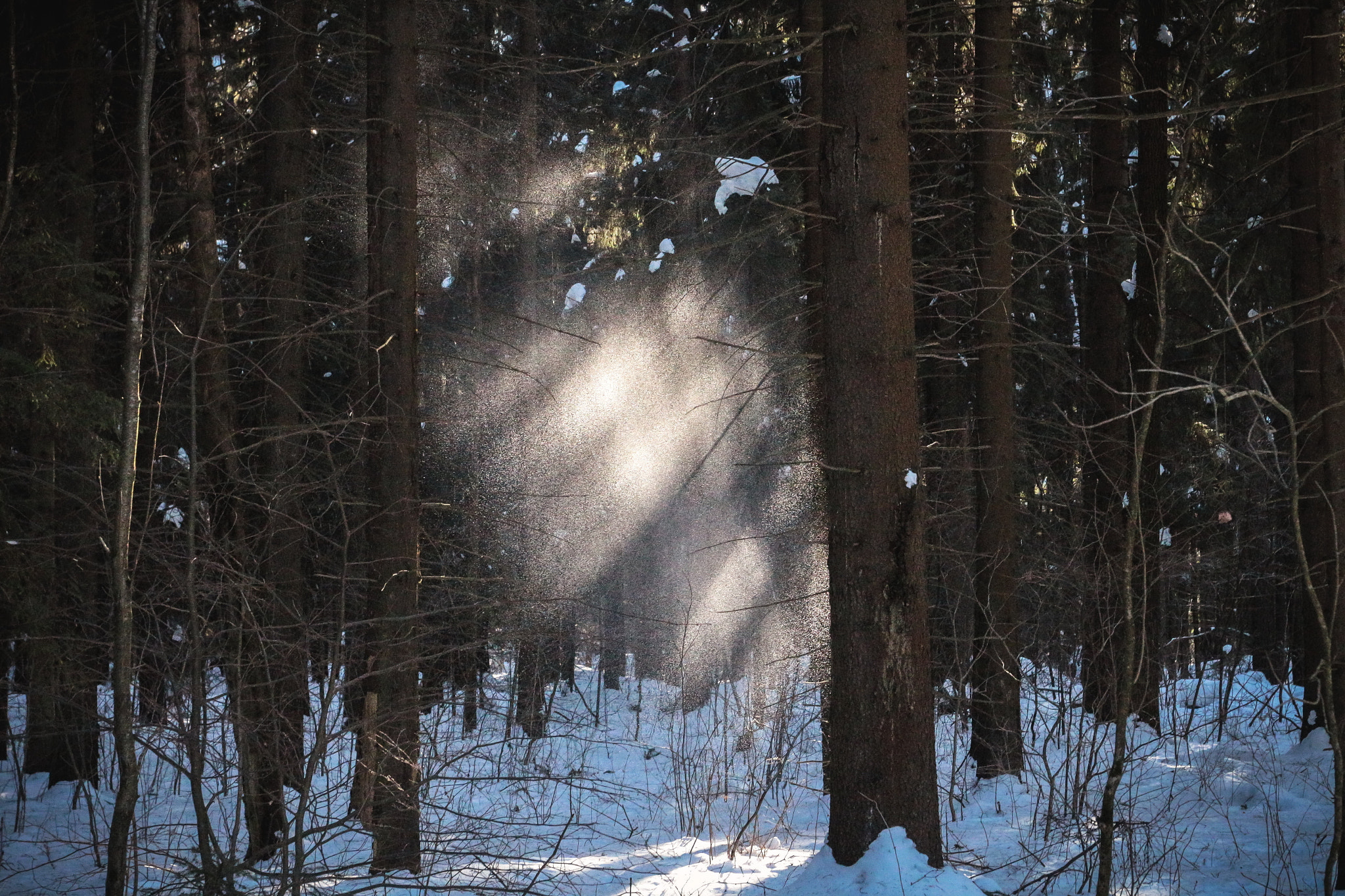Canon EOS sample photo. Winter sunny rain) photography