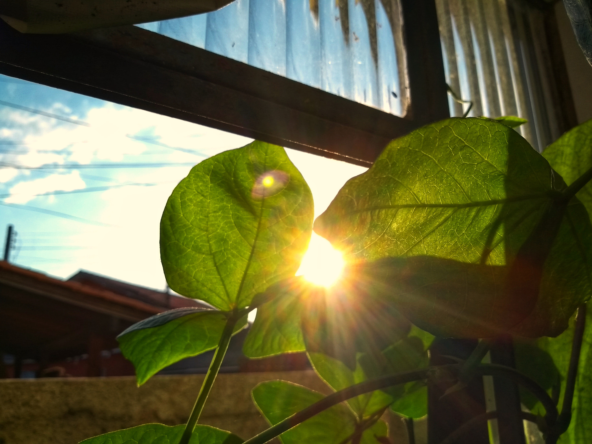 Motorola Moto G (5S) sample photo. Sunset photography