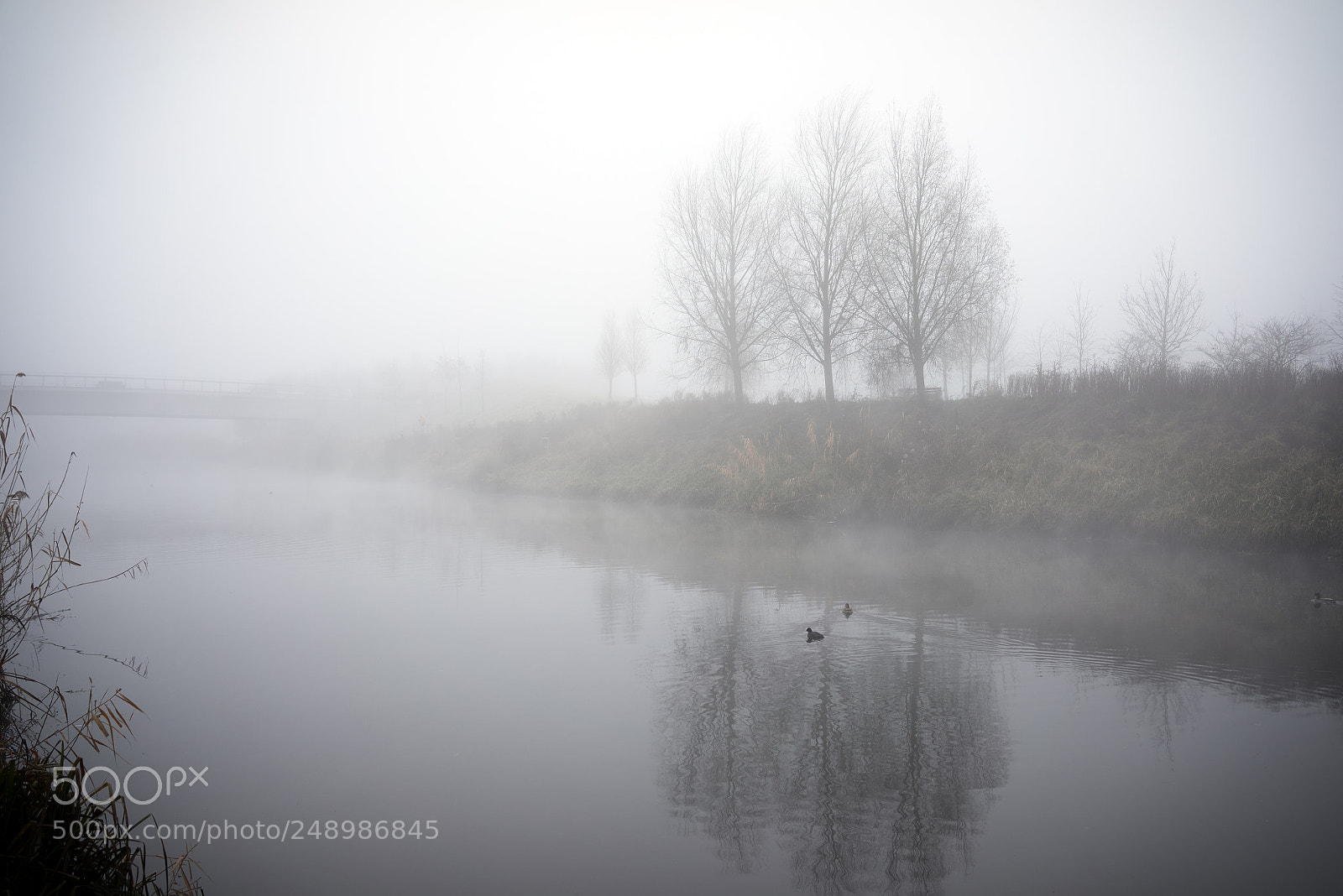 Sony a7R sample photo. Hackney photography