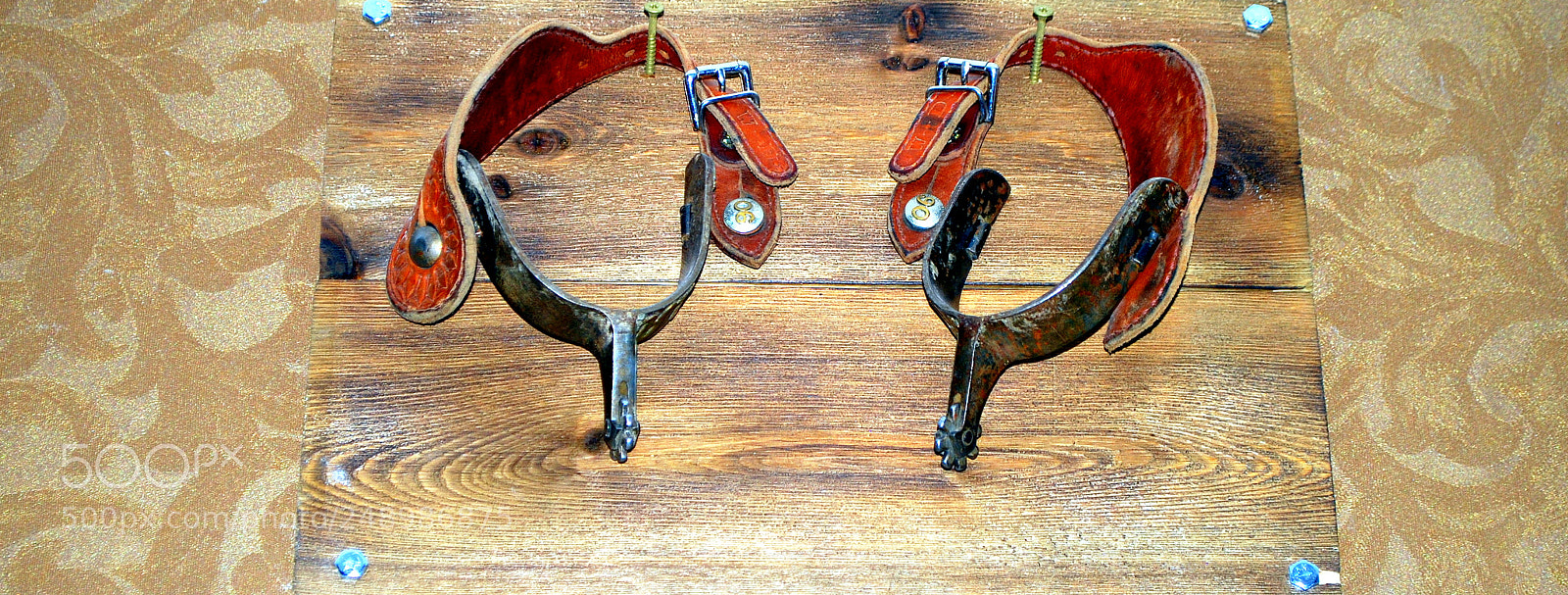 Nikon D60 sample photo. Western spurs. photography