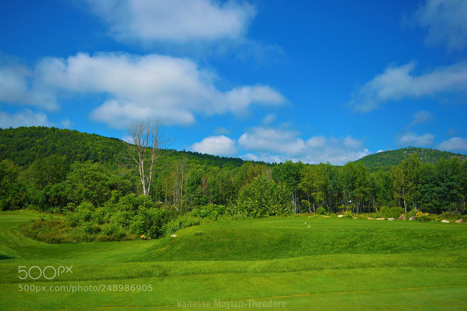 Nikon D5200 sample photo. Cronin's golf resort photography