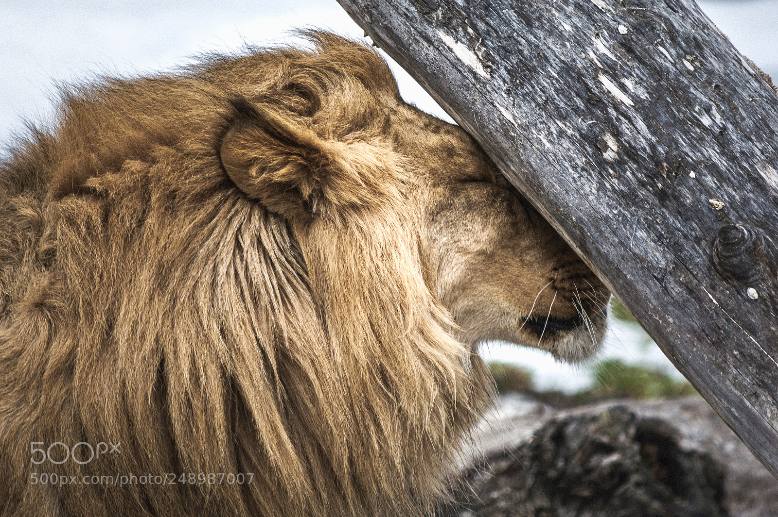 Nikon D5200 sample photo. Je compte jusqu 10 photography