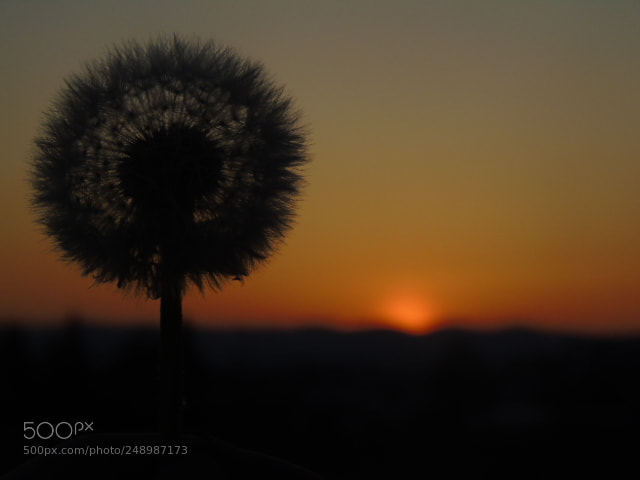 Sony Cyber-shot DSC-H400 sample photo. Magique photography