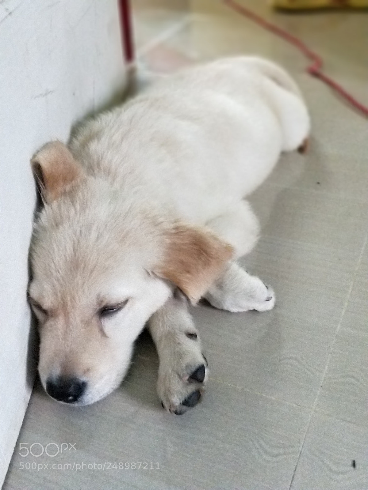 OnePlus 5 sample photo. Untitled photography