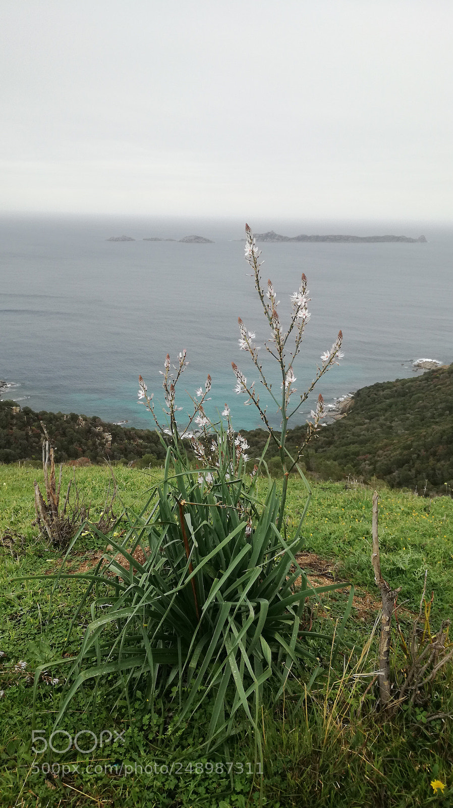 HUAWEI P9 LITE sample photo. Panoramic view photography