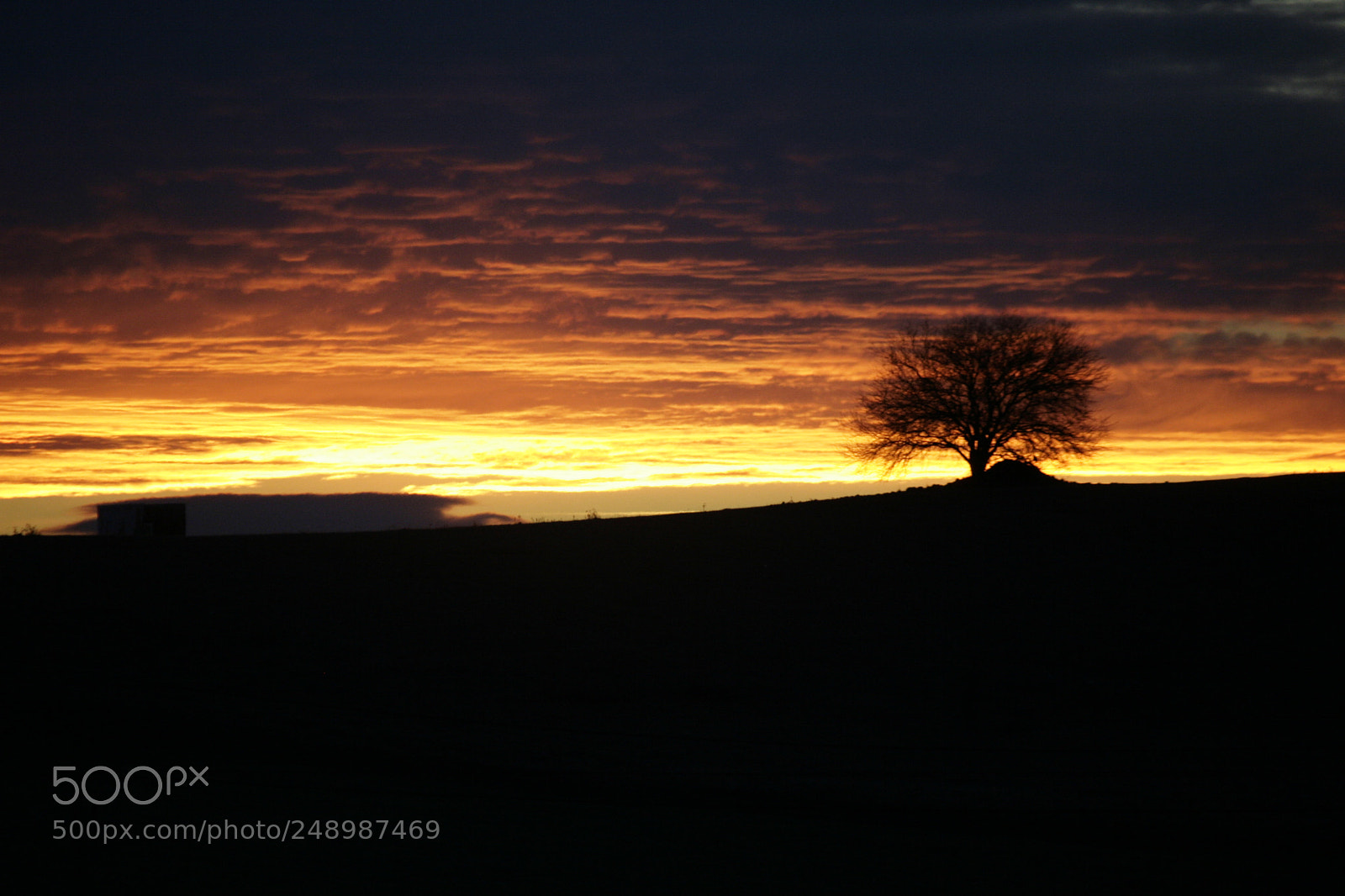 Canon EOS 30D sample photo. Cotton dawn photography