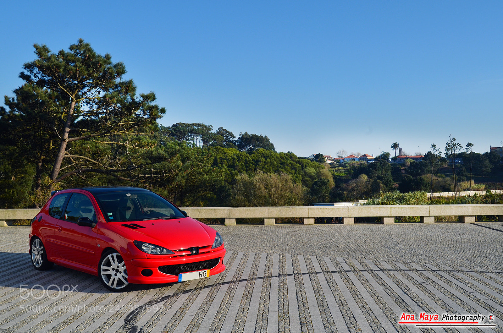 Nikon D5100 sample photo. Peugeot 206 rg photography