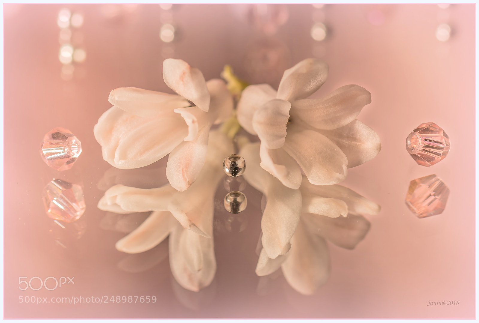 Canon EOS 77D (EOS 9000D / EOS 770D) sample photo. Hyacinth in reflecsion, pink photography