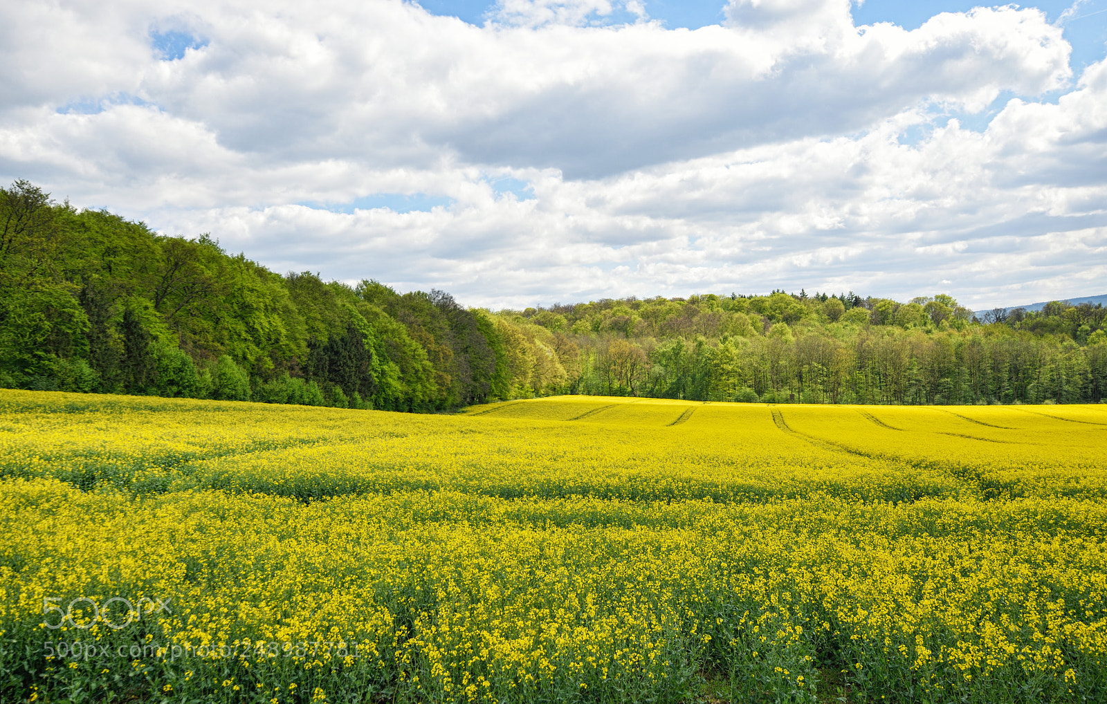 Nikon D3300 sample photo. Open space photography