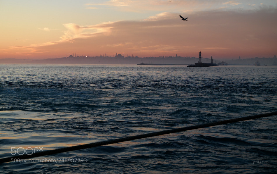 Samsung NX30 sample photo. ... photography