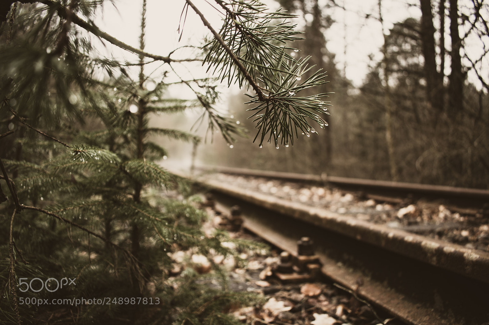 Nikon D5300 sample photo. Railroad romance photography
