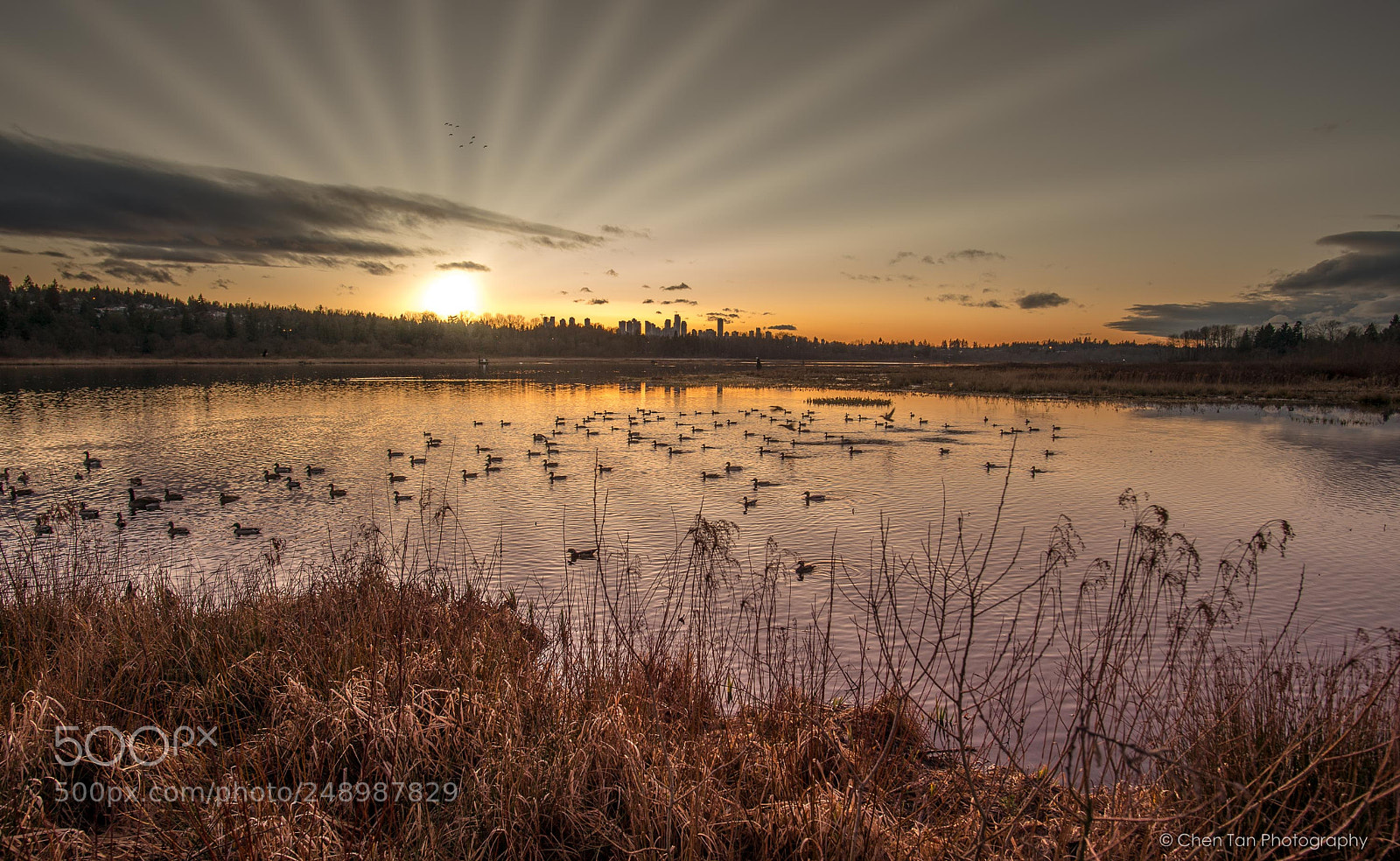 Nikon Df sample photo. Sunset at lake photography