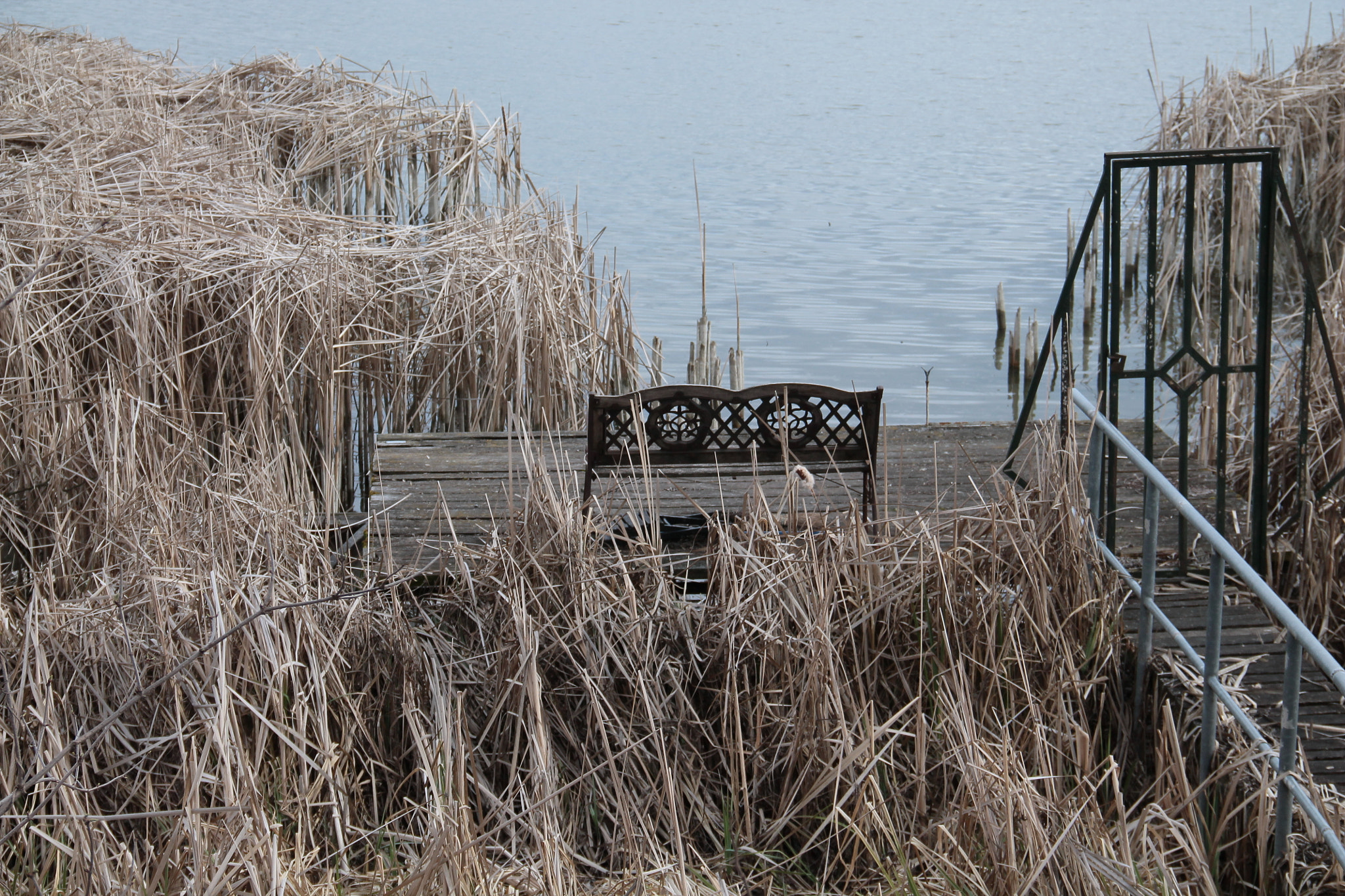 Canon EF-S 18-135mm F3.5-5.6 IS sample photo. Waiting for the spring photography