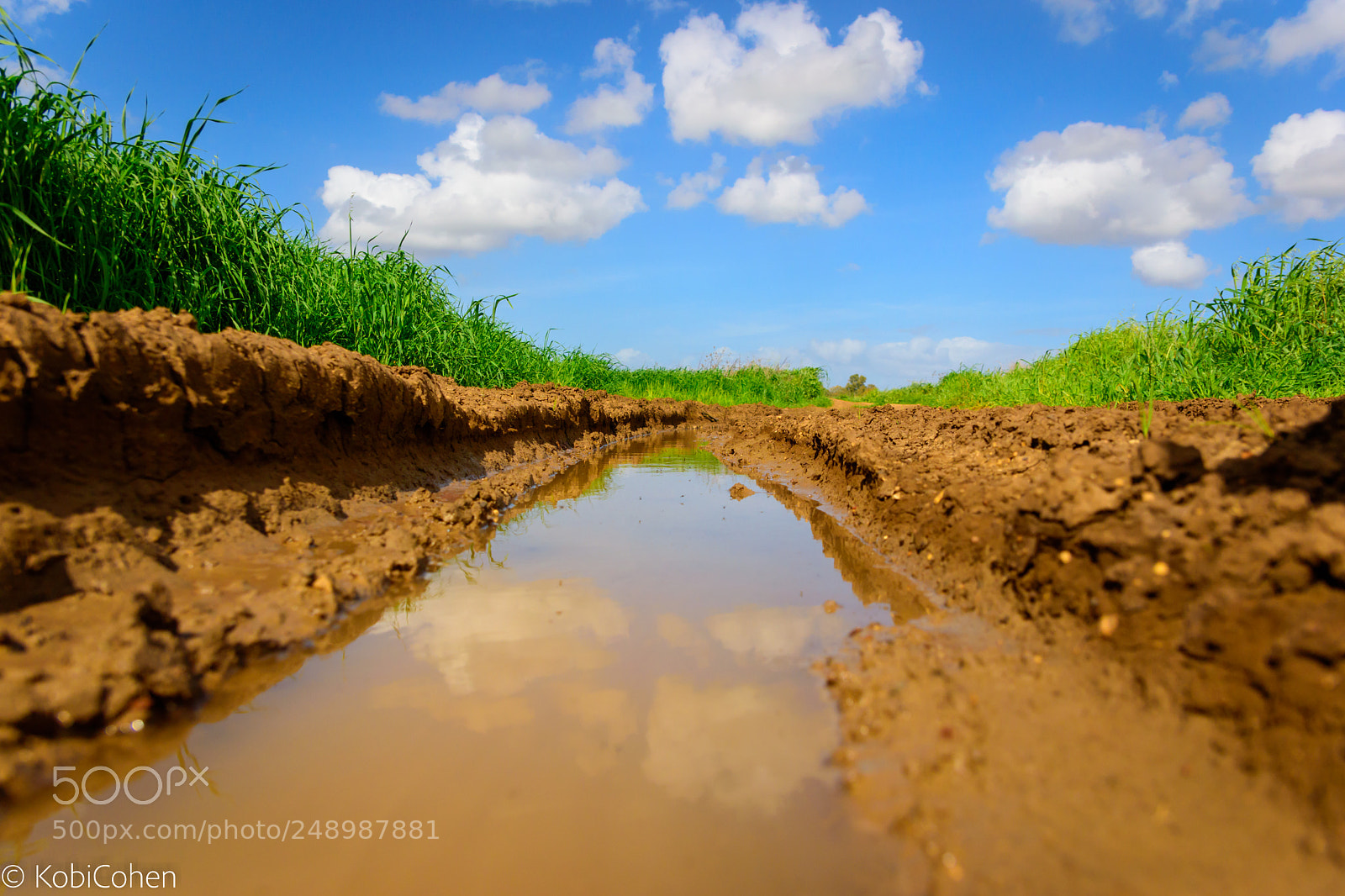 Nikon D5600 sample photo. Cloud reflection photography
