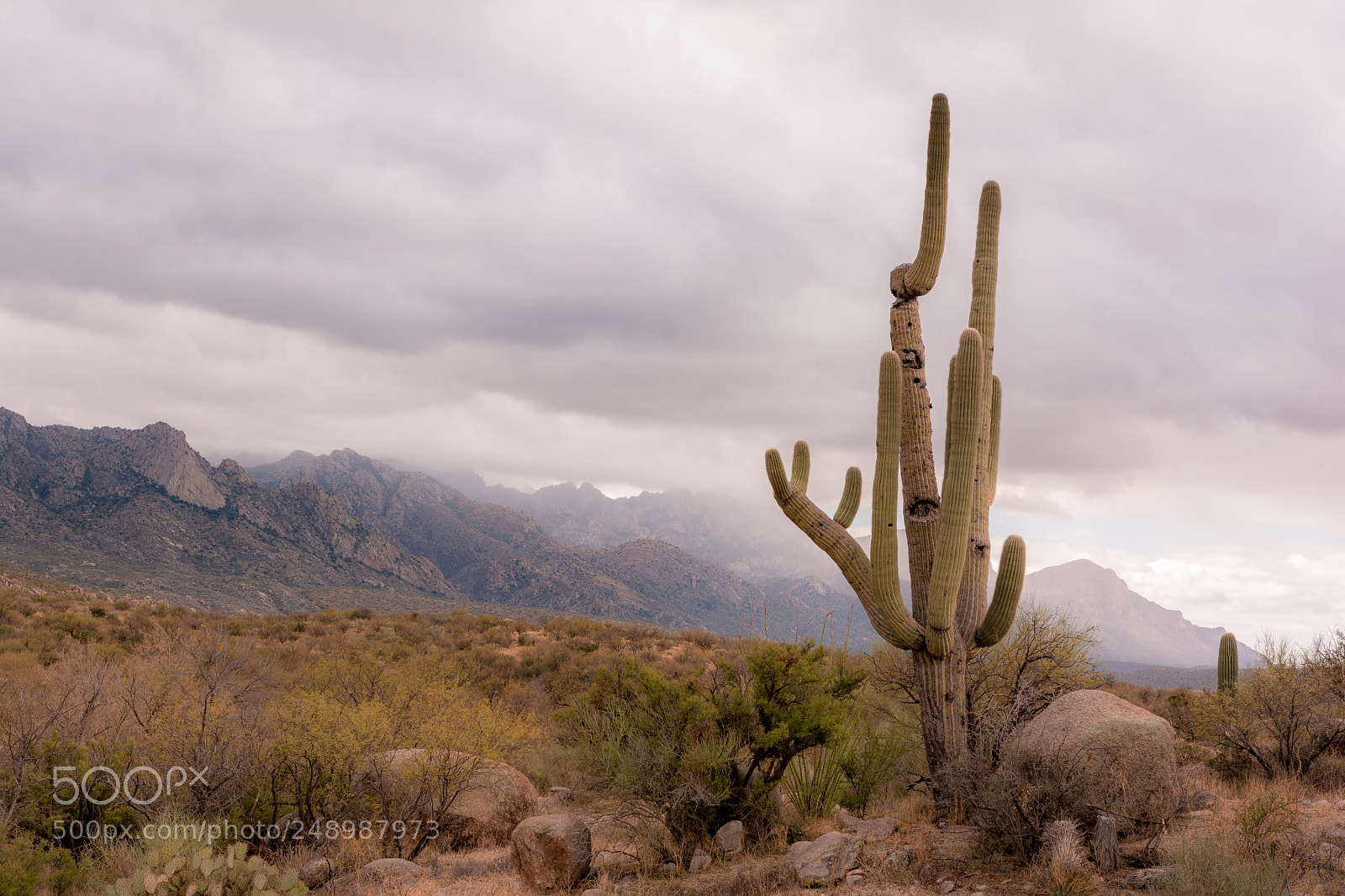 Nikon D7100 sample photo. Santa catalina mountains photography