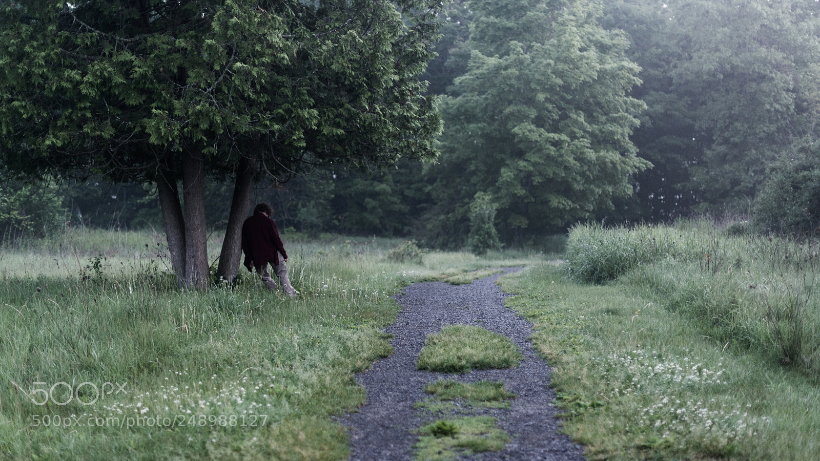 Nikon D600 sample photo. This path was grassy photography