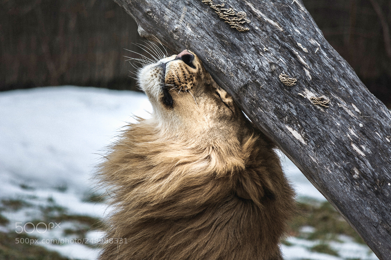 Nikon D5200 sample photo. Mmmmm! photography
