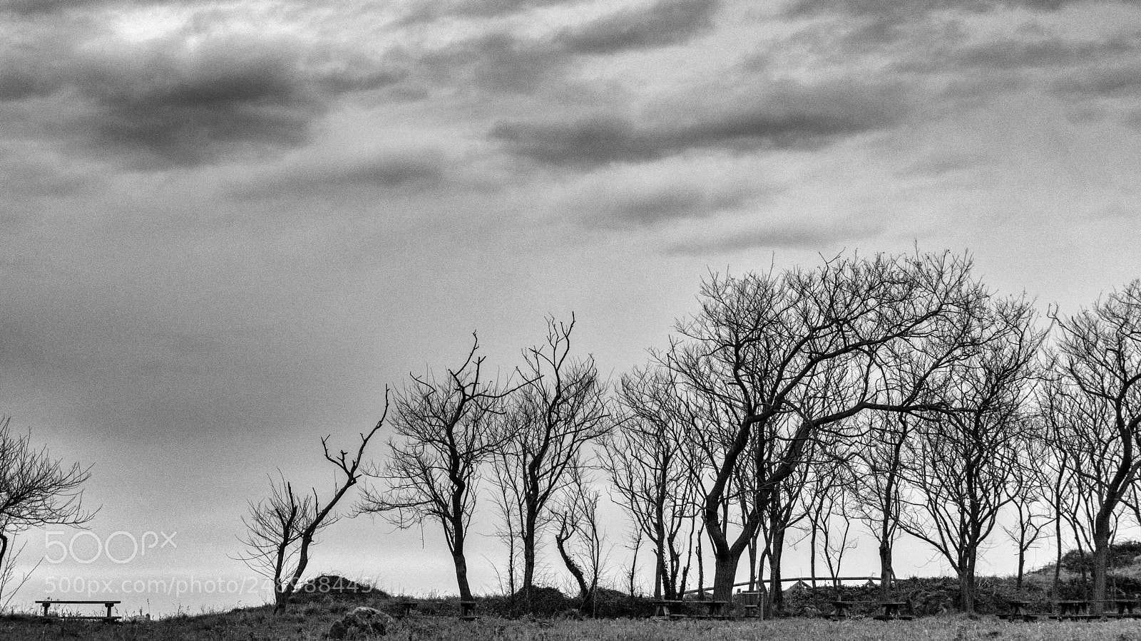 Nikon D7100 sample photo. Viento del sur........ photography