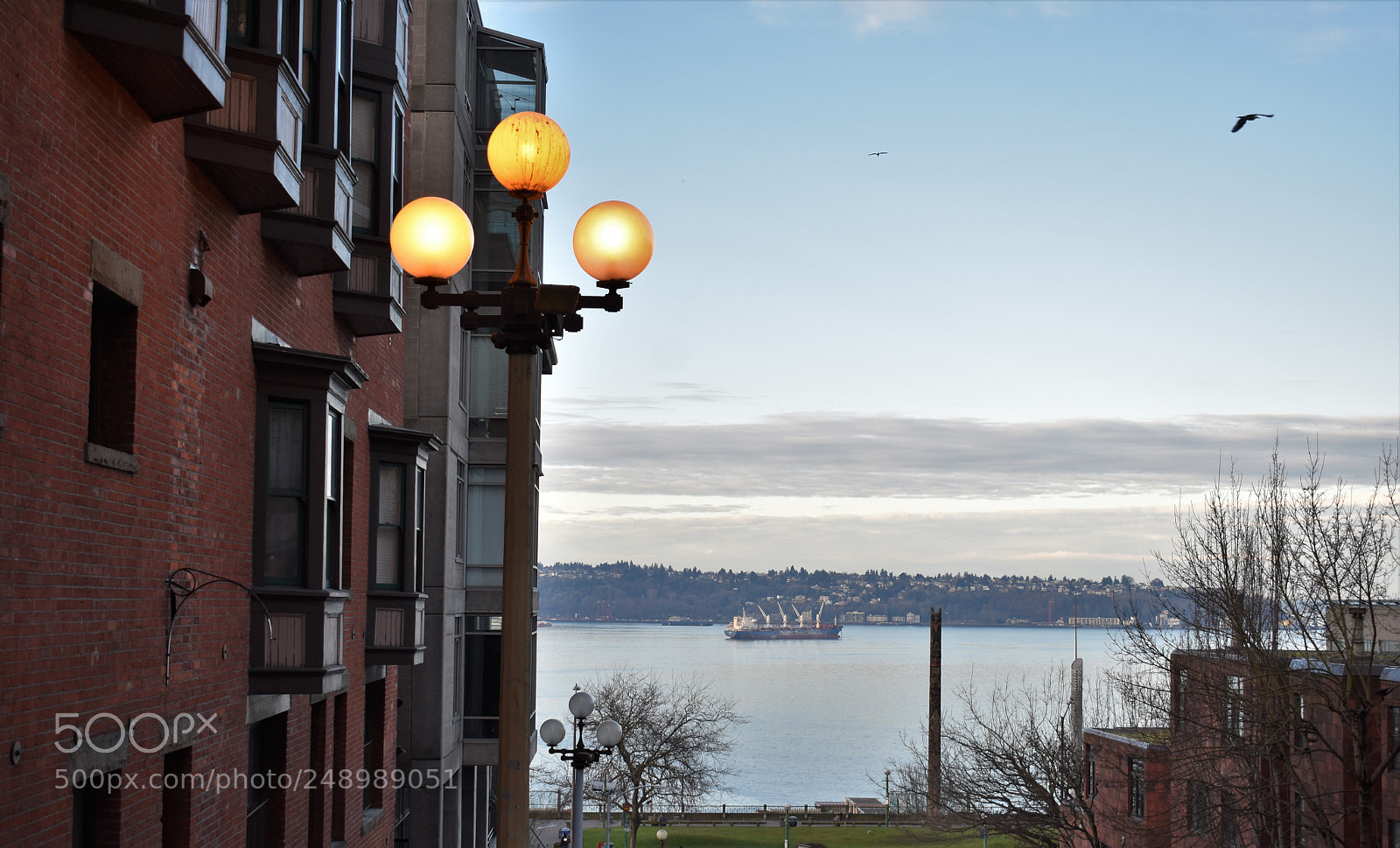 Nikon D3400 sample photo. Puget sound from pike photography