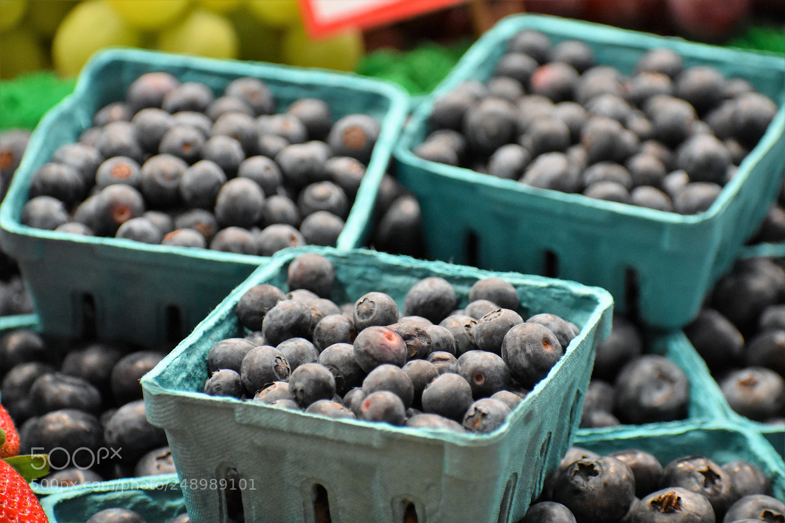 Nikon D3400 sample photo. Blueberries at the pike photography