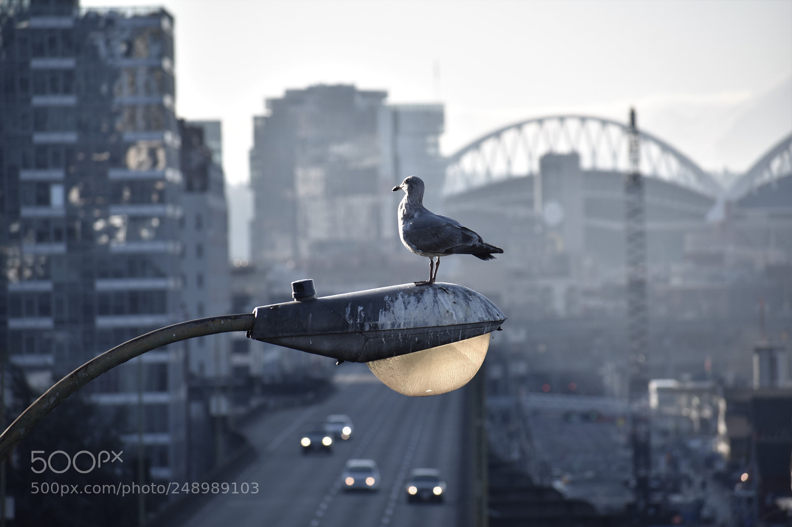 Nikon D3400 sample photo. Seattle mornings photography