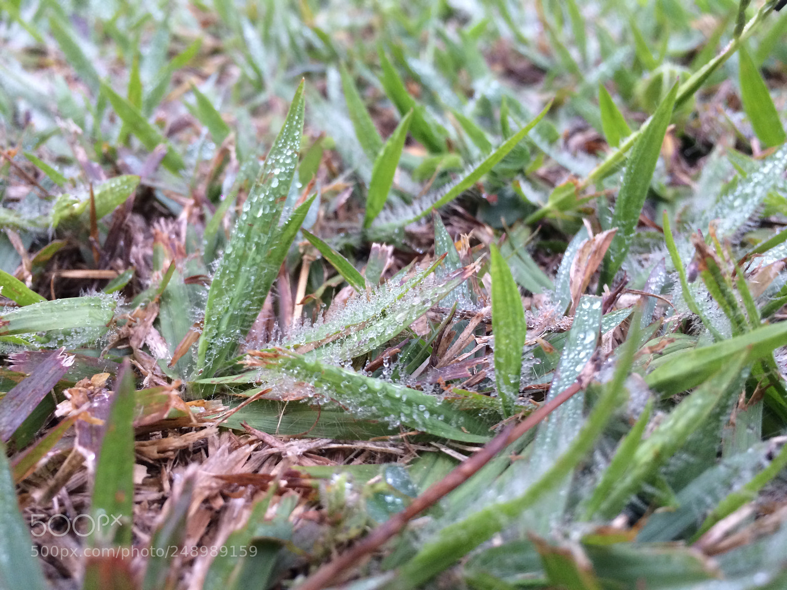 Apple iPhone 5s sample photo. Untitled photography