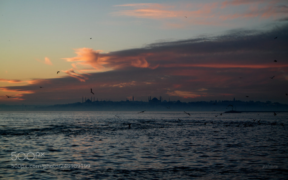 Samsung NX30 sample photo. ... photography