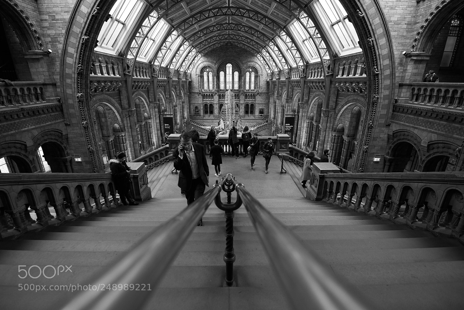 Nikon D610 sample photo. Natural history museum.jpg photography