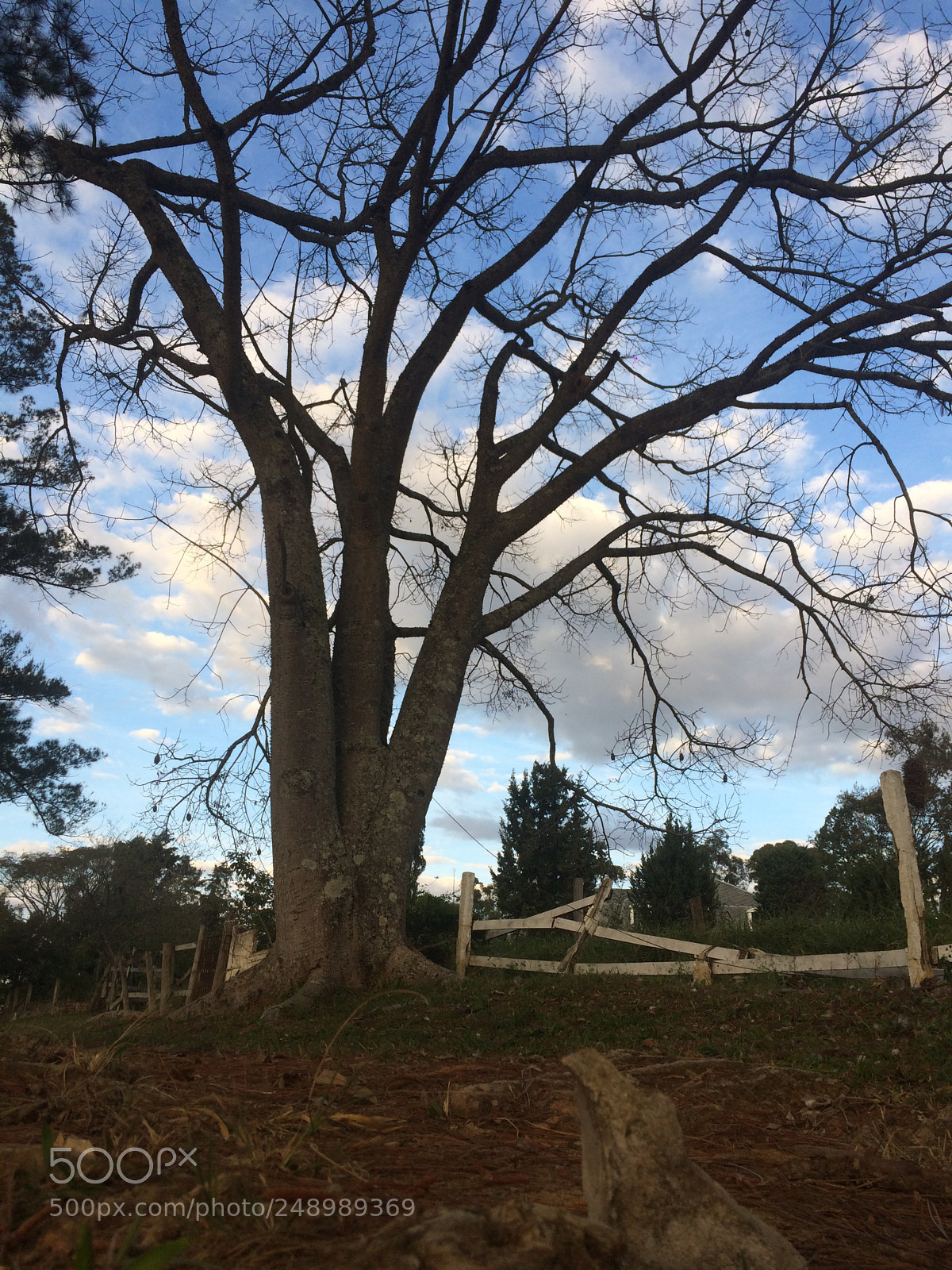 Apple iPhone 5s sample photo. Untitled photography